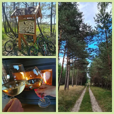 Ostoja Relaksu Cieciorka * Kaliska