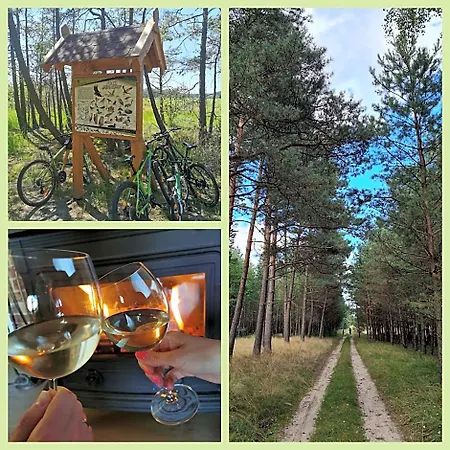 Ostoja Relaksu Cieciorka * Kaliska