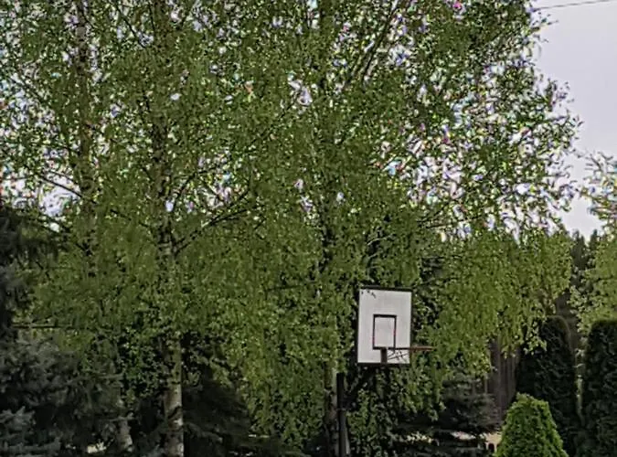 Ostoja Relaksu Cieciorka Alojamento de Turismo Selvagem Kaliska