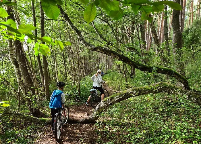 Ostoja Relaksu Cieciorka Alojamento de Turismo Selvagem