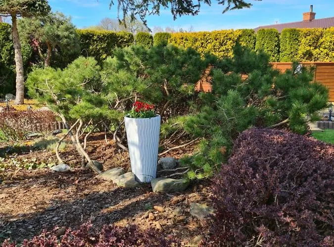 Ostoja Relaksu Cieciorka