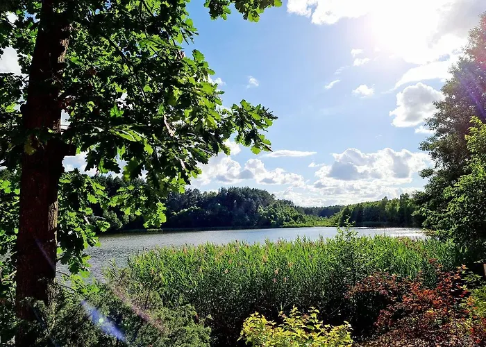 Alojamento de Turismo Selvagem Ostoja Relaksu Cieciorka Kaliska